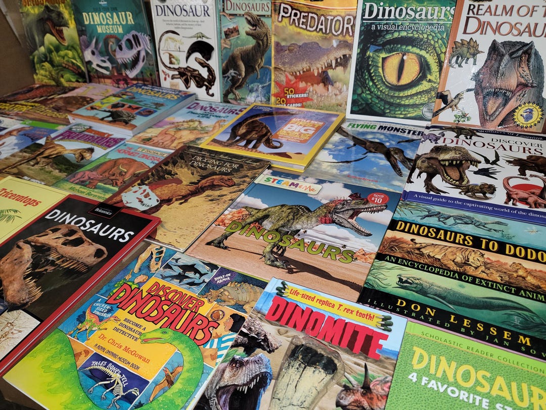 Dinosaur Kids Books Lot: Prehistoric Educational Reader Set - Etsy