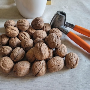 Organic In-Shell Walnuts: California Grown, Unbleached, 3 Lbs