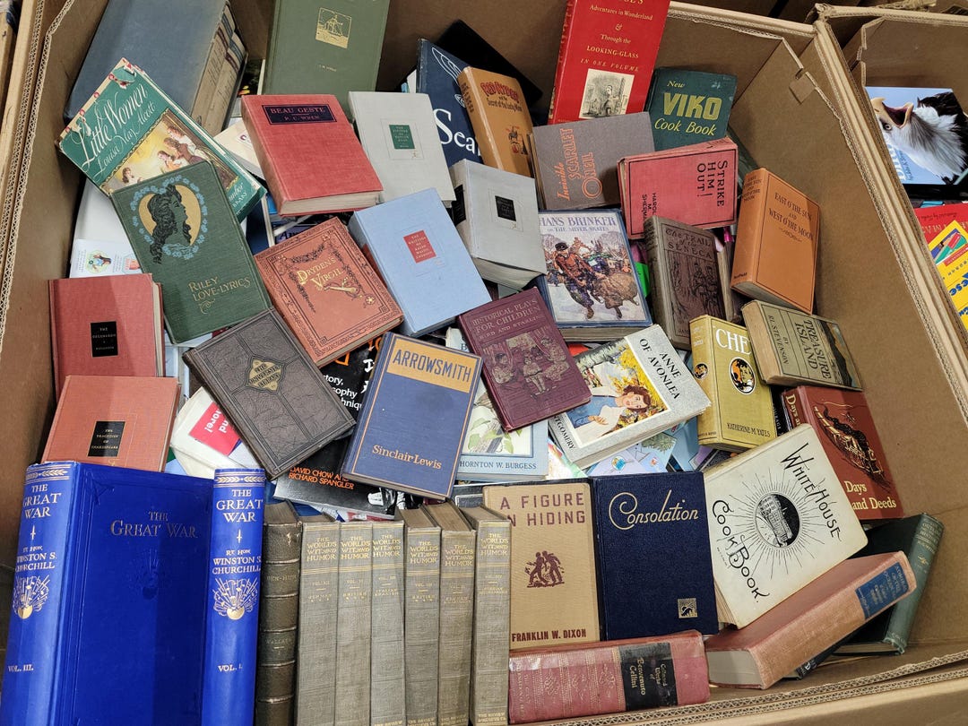 Antique Hardcover Book Lot: Vintage Unique Rare Hard to Find Old ...