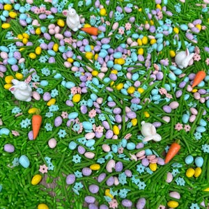 May include: A close-up of a variety of pastel-colored sprinkles, including green grass, pastel blue and pink eggs, yellow stars, and white bunnies. The sprinkles are perfect for decorating Easter treats.