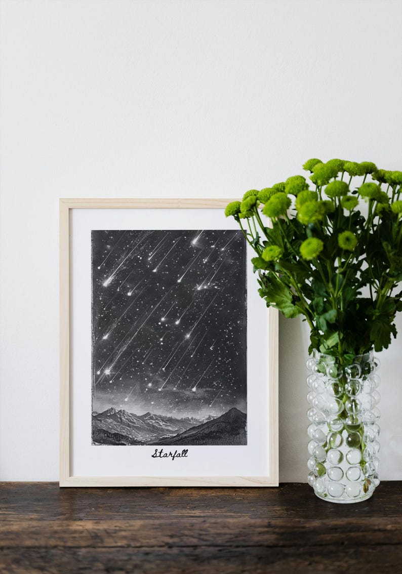 May include: A framed black and white print depicting a meteor shower over a mountain range. The print is in a light wood frame and the word "Starfall" is written at the bottom. A vase of green flowers sits to the right.