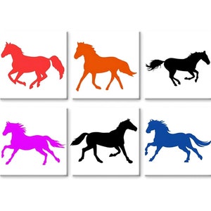 Equestrian Horse Decal: Car, Laptop, Water Bottle Sticker