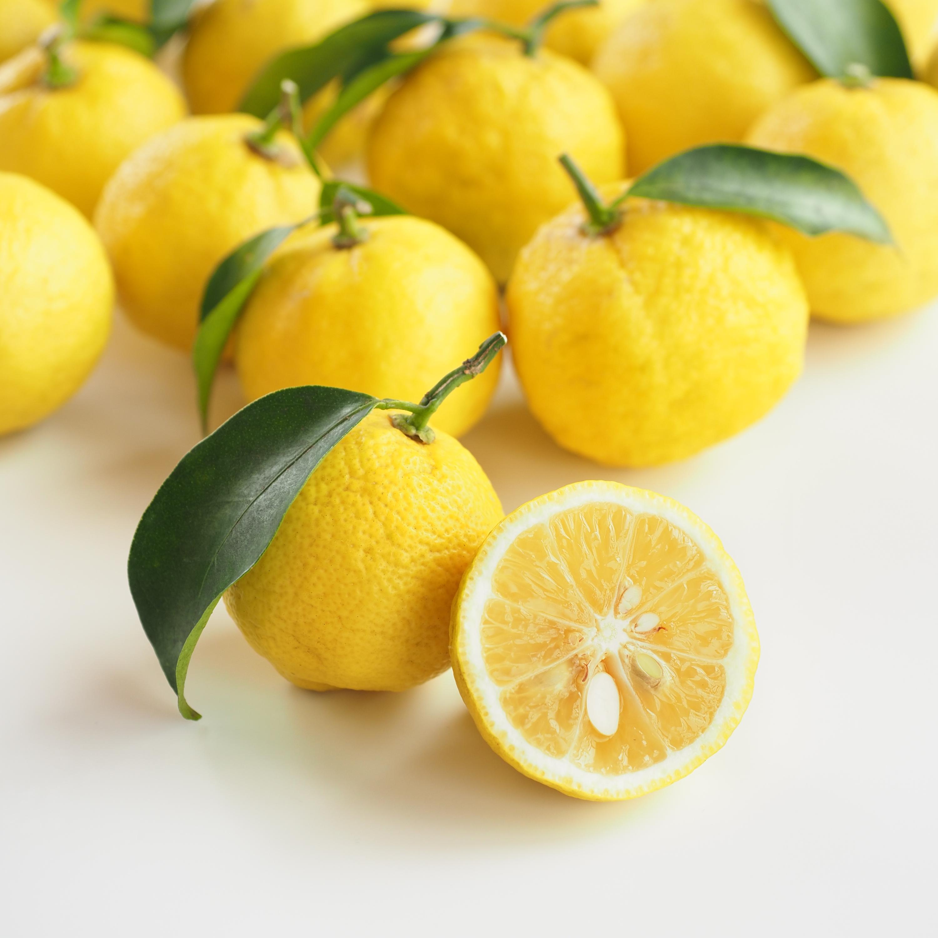 Yuzu Citrus Seeds – Fragrant Lemon Tree Seeds – Japanese Yuzu