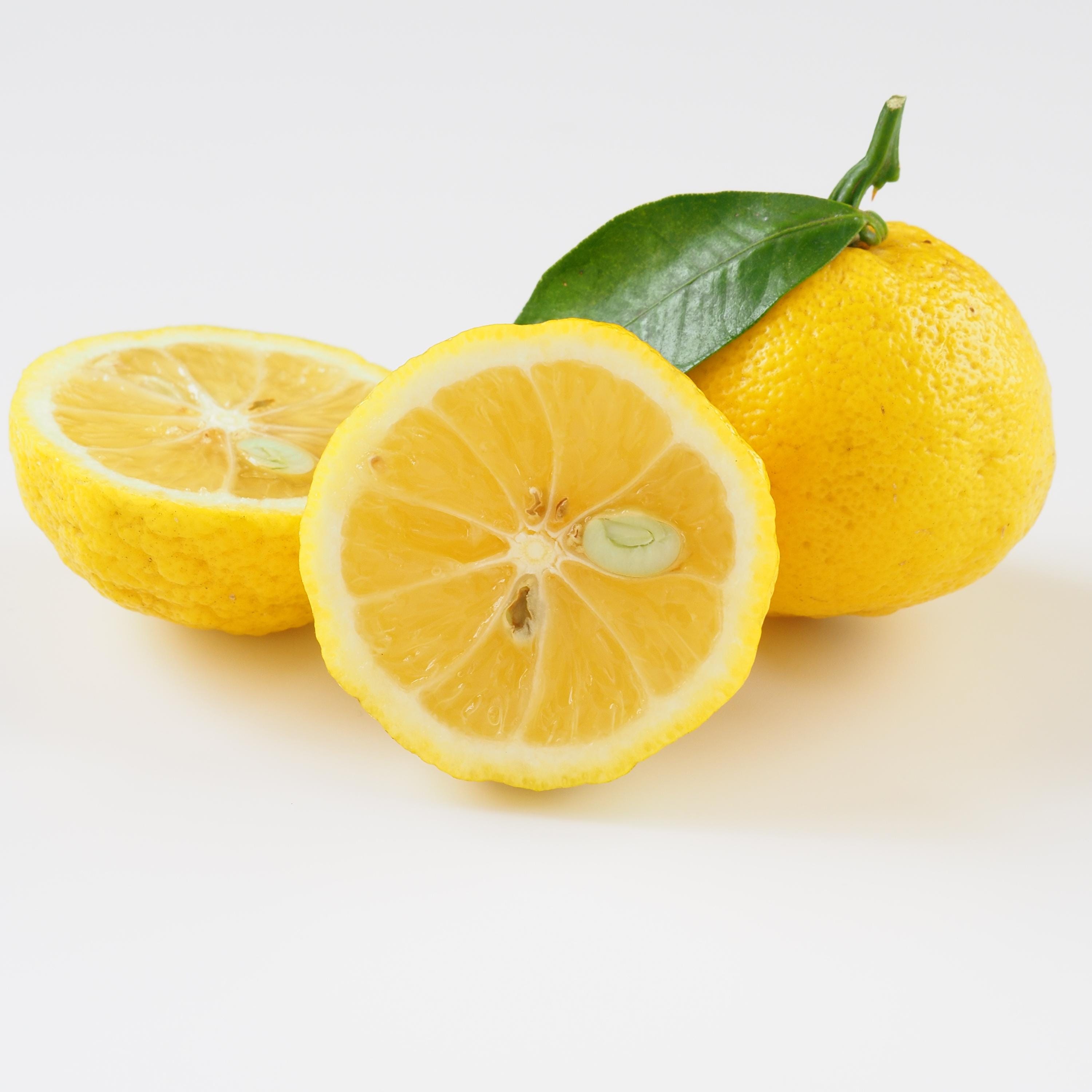 Yuzu Citrus Seeds – Fragrant Lemon Tree Seeds – Japanese Yuzu