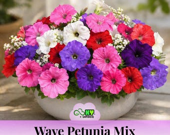 Wave Petunia Mix Seeds - Cascading Colorful Blooms - Spreading Flower Plant - Easy Grow Annual