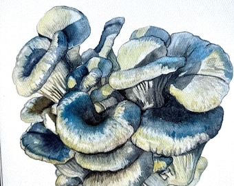 Oyster Mushroom Watercolor Art Print, Botanical Wall Decor (8.5x11)