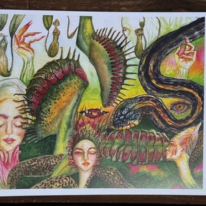 May include: A vibrant watercolor illustration featuring a Venus flytrap, a snake, and several figures with closed eyes. The artwork uses a palette of greens, reds, and yellows, creating a surreal and dreamlike composition. The style is reminiscent of botanical art.