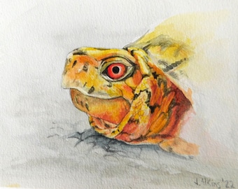 May include: Watercolor painting of a turtle's head with a bright red eye. The turtle's shell is yellow and orange with black markings. The painting is signed "J. Atkins '22".