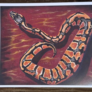 May include: A colorful painting of a snake with a patterned design. The snake is orange, black, and white, with a dark red background. The snake is coiled and has a detailed head.