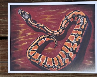 Ball Python - 8 x 10 inch signed painting print by Jennifer Brilhart Natural History Art