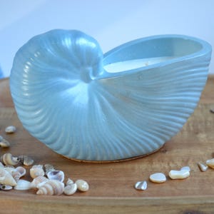 Sel de Mer Scented Soy Candle Nautilus Shell