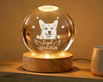 Personalized Pet Memorial Crystal Ball Lamp, Custom Pet Portrait Night Light, Cat & Dog Sympathy Keepsake, Loss of Pet Remembrance Gift