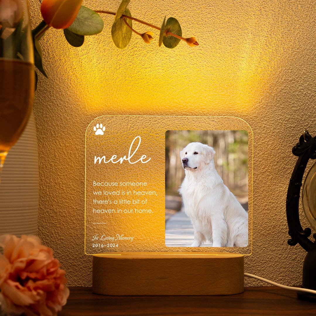 Pet Memorial Lamp, Personalized Pet Photo LED Night Light, Dog Cat Loss ...