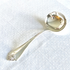 May include: A silver serving spoon with a decorative handle and a rounded bowl.