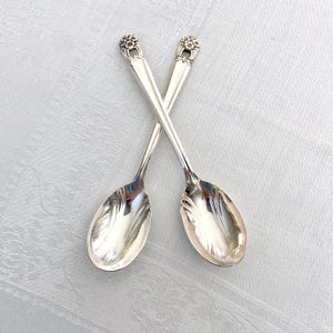 May include: Two silver sugar spoons with ornate floral designs on the handles. The spoons have a rounded bowl shape with a decorative, rippled pattern.