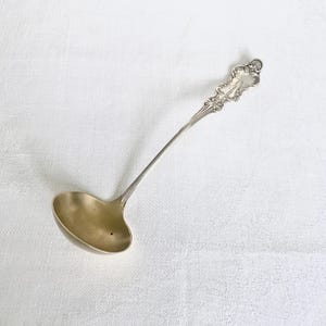 May include: A silver ladle with an ornate handle and a rounded bowl. The handle features decorative detailing and a small, engraved design at the top. The ladle is designed for serving soups and sauces.