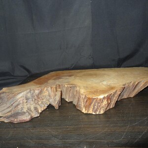 May include: A natural wood slab with a live edge. The slab is light brown with darker brown and gray streaks, and has a rough, textured surface. The wood appears to be a cross-section of a tree trunk.