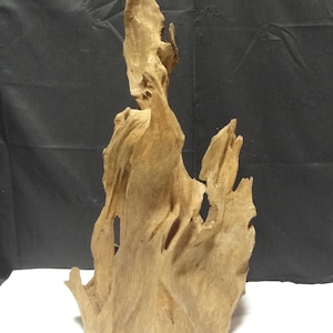 May include: A light brown piece of driftwood with a vertical, jagged, and weathered structure. The wood features deep grooves, organic textures, and sharp, pointed edges that rise upwards, creating a complex, irregular, and sculptural form.