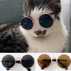 Retro Round Cat Sunglasses