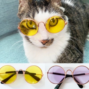 Retro Round Cat Sunglasses