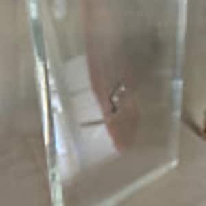 Op de afbeelding: Een vierkante glazen blok van helder glas met afgeschuinde randen.