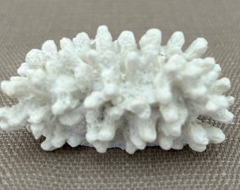 Coastal Ocean Coral Plaster Place Card Holder