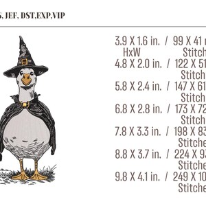May include: An embroidered design of a goose dressed as a witch, wearing a black hat and cape. The image includes size and stitch count information, with the largest size being 9.8 x 4.1 inches (249 x 104 mm).