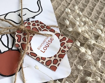 Cartes étapes bébé première année thème jungle, cadeau naissance personnalisé