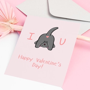 Druckbare lustige Valentinstagskarte, bearbeitbare Happy Valentines Day Kartenvorlage, Valentinstagskarte für ihn für sie, Valentinstagskarte für Katzenliebhaber