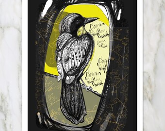 Randy Bird | Pittsburgh Crow Drawing | wall Art by KLoRebel