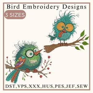 Motif de broderie drôle de poulet fou, Broderie d&#39;oiseaux fous, Broderie de poulet fou, Broderie de poulet mignon, Motif de broderie machine