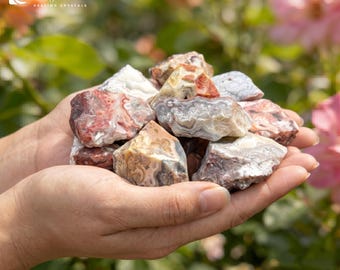 Raw Crazy Lace Agate Rough Chunk | Natural Banded Lace Agate Specimen, Stability Positive Energy Crystal for Altar Decor Collector Gift
