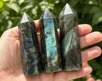 May include: Three polished labradorite crystal towers with a faceted top are held in a hand. The crystals have a dark gray base color with iridescent blue and green flashes. The crystals are displayed against a background of green foliage and pink flowers.