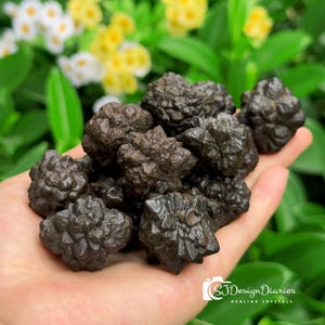 5PCS Prophecy Stone Egypt ,Prophecy Hematite ,Pseudomorph Stone, Healing Crystals , Third Eye Activation Crystal