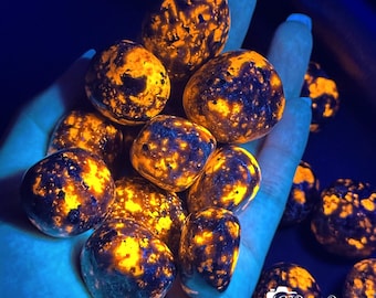 しんちゃんユーパーライト しんちゃんユーパーライト 最高組合。予約開始！ クレヨンしんちゃん x