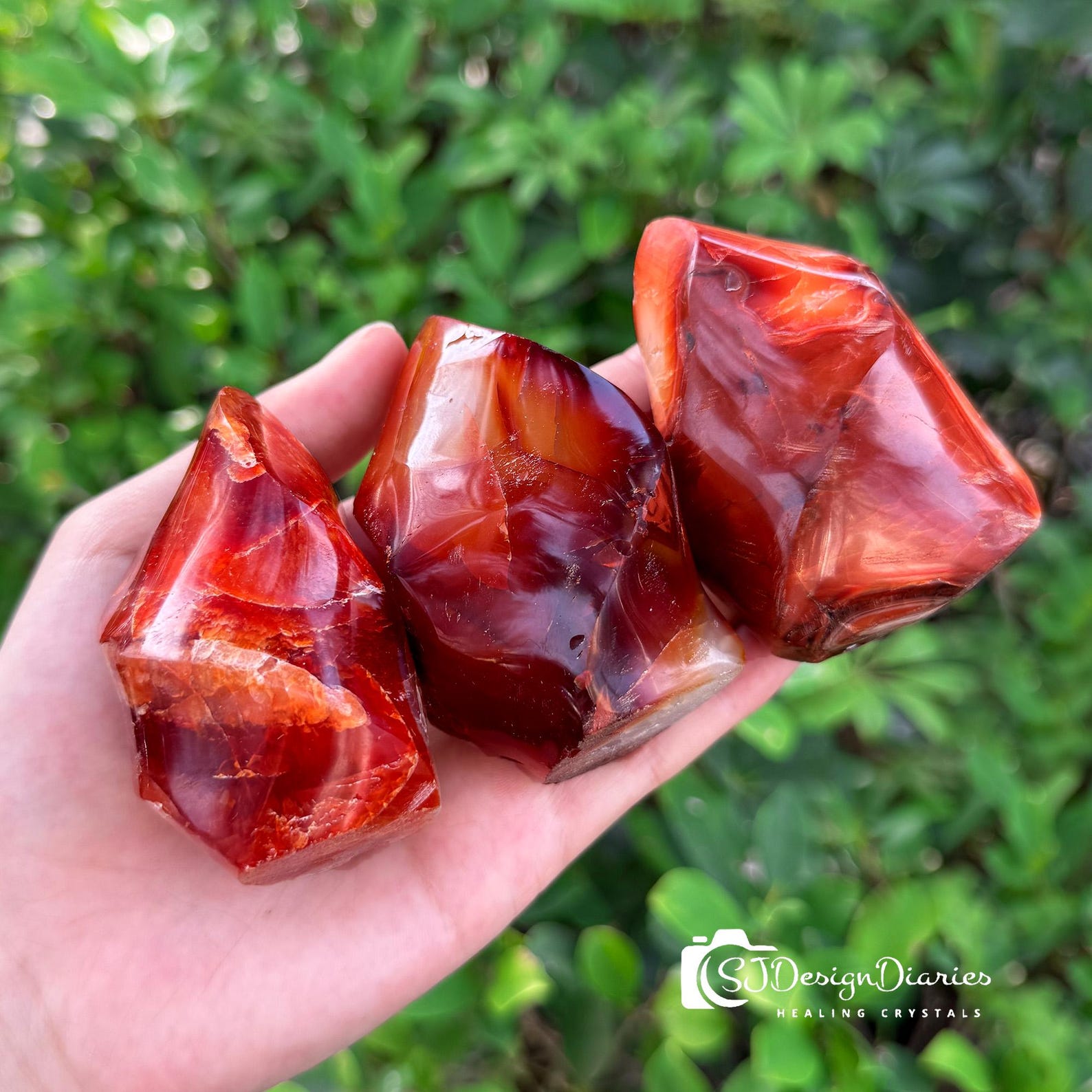 Polished red-orange Carnelian crystals held in a hand, used for Aries zodiac energy, with green leaves in background
