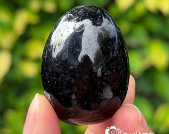 May include: Black obsidian egg shaped crystal, polished to a smooth, shiny finish. The crystal is held in a hand, with a green background.