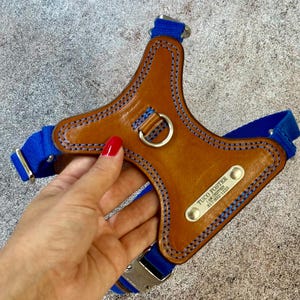 Personalisiertes Harness-Leine-Set - Benutzerdefiniertes Leder Y-Front-Hundegeschirr mit 5-Fuß-Laufleine, taktisches Design für kleine und mittelgroße Hunderassen