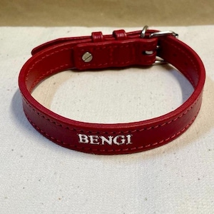 Personalisierte Hundehalsband Name - Rotes Leder Luxus Halsband für kleine und mittlere Hunde, elegante Haustierbedarf, perfekte Geschenk für Hundeliebhaber