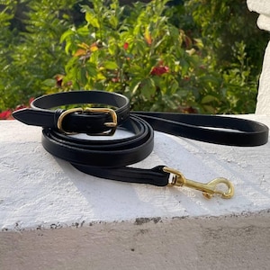Klassische schwarze Leder Hundeleine und Halsband Set mit Messing Druckknopf, 5 Fuß Leder Hundeleine für kleine und mittlere Hunde
