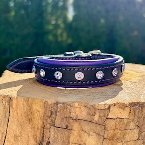 Bling Purple Dog Collar with Crystals – Wide Leather Rhinestone Collar with Soft Padded Comfort, Ideal for Show Dogs and Adoption Day Gifts