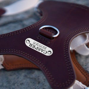 Custom Dog Harness & Leash Set – Personalized Leather Dog Harness with 5 ft Walking Leash for Bulldog, Service Dog or Working Dog Gear