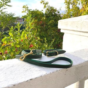 Matching Leather Dog Collar and Leash Set – 5 ft Luxury Dog Lead in Green, Fancy Dog Accessories for French Bulldog Gift & Dog Mom Present