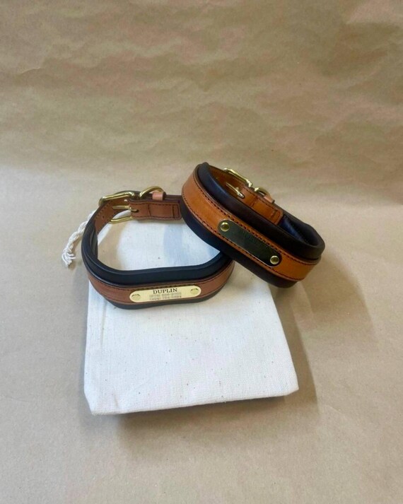 Wide Padded Leather Dog Collar With Personalized Brass Name Plate