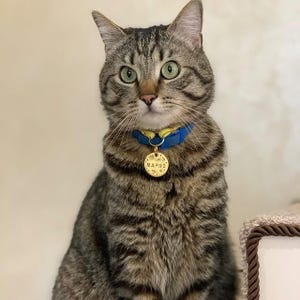 Custom Metal Stamped Pet Tag with Dog Pendant & Charm – Personalized ID Tag for Cats and Puppy Dogs in Aluminum, Copper or Brass