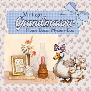 Puede incluir: Un anuncio de caja misteriosa con el texto Vintage Grandmacore Home Decor Mystery Box. La imagen muestra una lámina floral enmarcada, una figura de pájaro, una lámpara de aceite de cristal con base de madera y patos ilustrados.