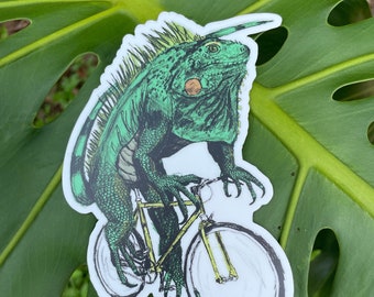 Iguana on Bicycle Sticker: Durable Vinyl Decal