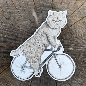 Autocollant Flat Face Cat - Autocollant en vinyle Flat Face Cat pour ordinateurs portables, voitures, bouteilles d’eau - Haute qualité, durable - Cadeaux pour les amoureux des chats à face plate