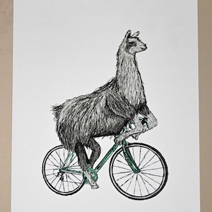 Llama Print - High Quality Llama Print - Gifts For Llama Lovers