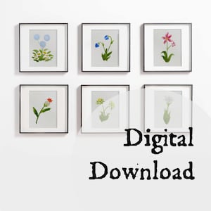 Watercolor Floral Prints: Winds Series Digital Download